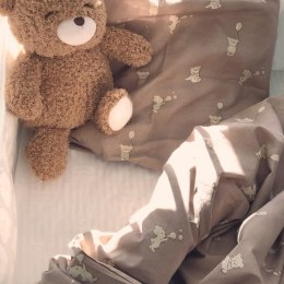 Petu Petu pościel niemowlęca poszewki 70x100/40x45 BABY Teddy