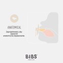 BIBS COLOUR ANATOMICAL 2-PACK NIGHT BLUSH & WANILLA M Smoczek Anatomiczny kauczuk Hevea