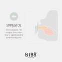 BIBS COLOUR SYMMETRICAL 2-PACK NIGHT BLUSH & VANILLA S Smoczek Symetryczny kauczuk Hevea