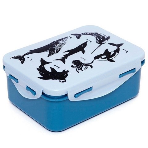 Petit Monkey - Śniadaniówka Lunchbox Deep Blue